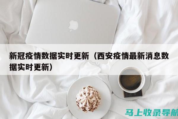 SEO查询排名软件如何助力追踪搜索引擎算法变化